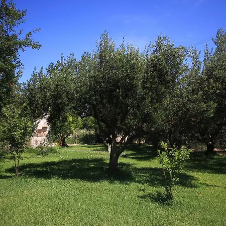 Apartment With Parking Space Orebic, Peljesac - 648 Orebic