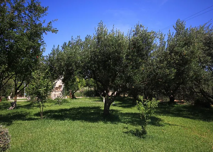 Apartment With Parking Space Orebic, Peljesac - 648 Orebic